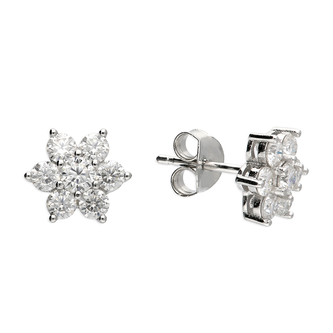 H6567/S - Sterling Silver Earrings