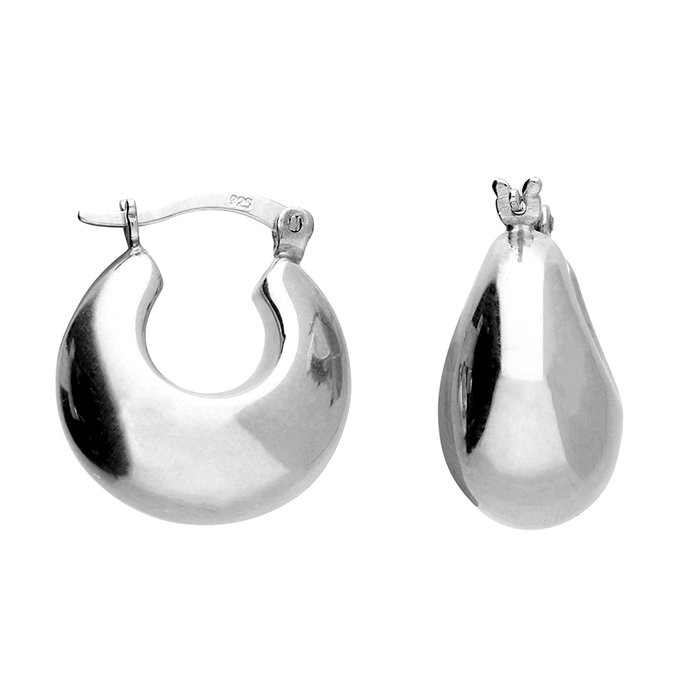 H6629/S - Sterling Silver Earrings