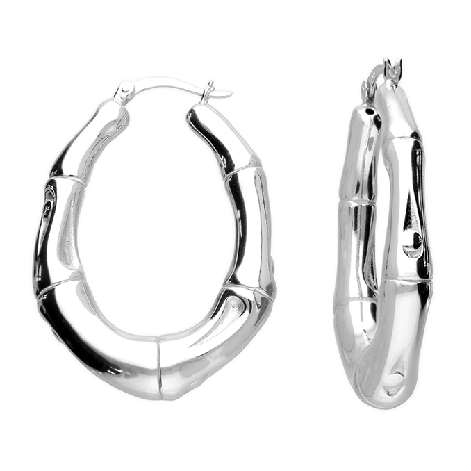 H6636/S - Sterling Silver Earrings