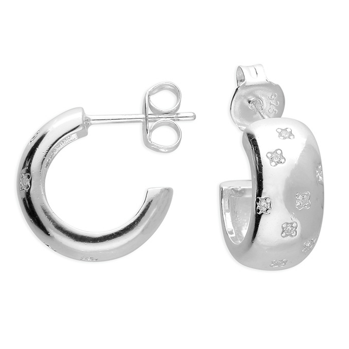 H6704/S - Sterling Silver Earrings